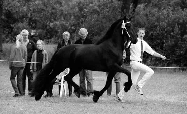 DRESSUUR RECREATIEF 2011 BB DONDERDAG 21 JULI 2011 UITSLAG Naam Vader Eigenaar Ruiter/ Punten Paard Amazone Groene paarden: 1 Jesse Sch. Krist R. Schievink Siska Weber 179 2 Bjins RV. Jisse 433 Y.