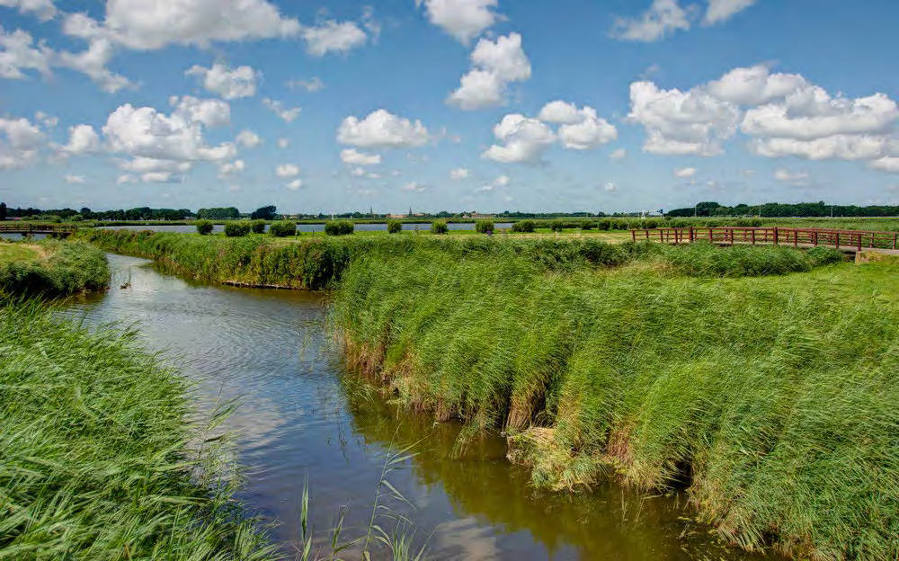Recreatiegebied met grote zwemplas direct grenzend aan het stedelijk gebied van Vlaardingen.