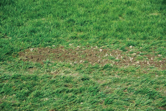 De GRASS-MANAGER serie en PNEUMATICSTAR serie zijn de ideale machines om grasland in goede conditie te houden voor