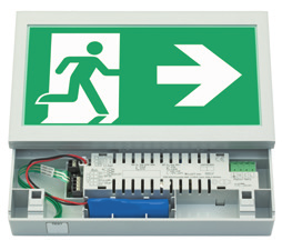 Zelfs als er maar één armatuur voor noodverlichting of vluchtwegsignalering uitvalt, is er onder bepaalde omstandigheden een significant risico op ongelukken, zoals bijvoorbeeld in trappenhuizen.