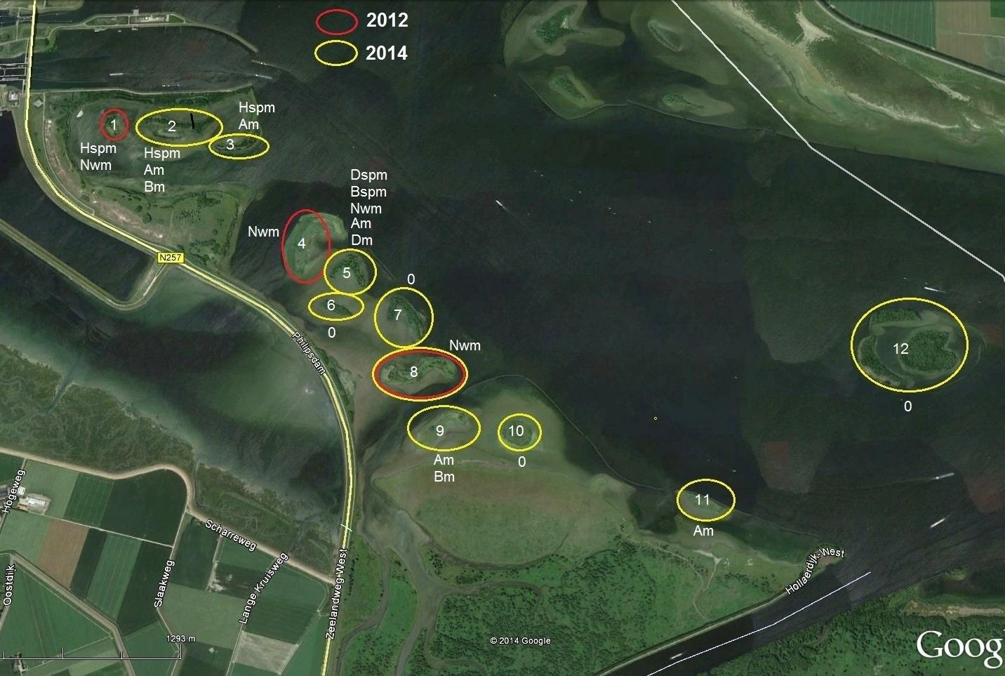 Eilandjes Krammer - 2014 Bespreking resultaten Het aantal vangsten per locatie, inclusief hervangsten, is weergegeven in Tabel 2. In totaal waren er 69 vangsten van 7 soorten kleine zoogdieren.