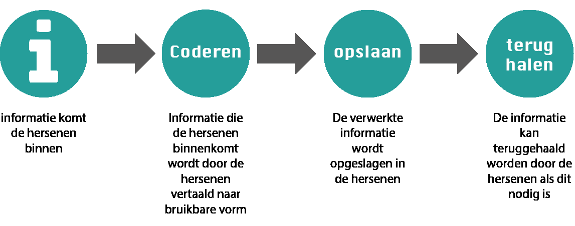 Wat is geheugen? Om erachter te komen hoe je als CMD er het geheugen van je doelgroep kan beïnvloeden moeten we er eerst achter zien te komen wat geheugen nou eigenlijk precies is.