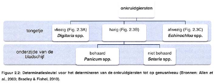 Naaldaarsoorten