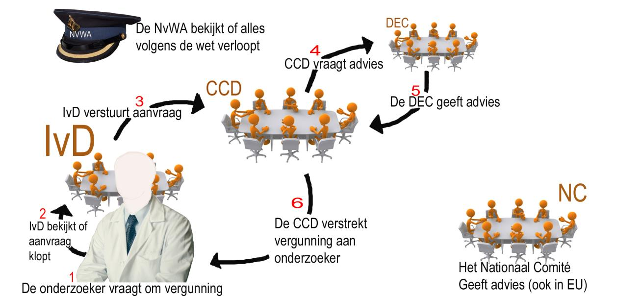 Hoe verloopt de aanvraag van een vergunning? De onderzoeker die een diertest wil doen moet 1.