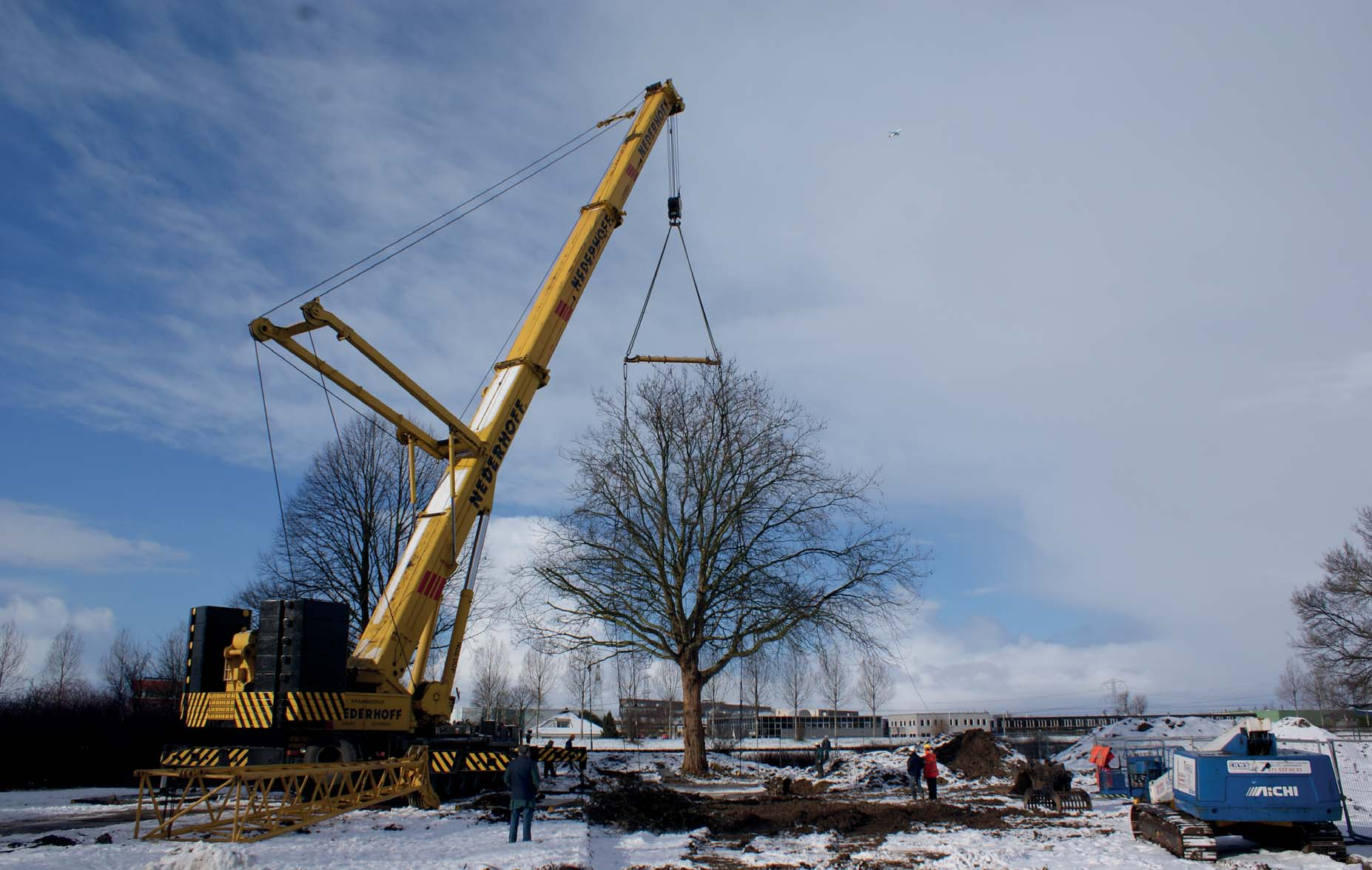 WAAROM DE ARBRETIO BOOMPLANTWIG?