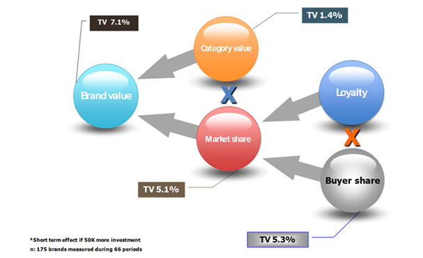 Wat is de impact op korte termijn van een bijkomende bruto besteding in tv van 50.000? Het model meet het effect van een incrementale reclamebesteding.