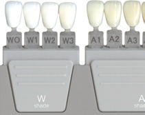 OD-B2:1 OD-N:1 OD-C2:1 OD-N:1 OD-D3:1 OD-B2:1 OD-B4:1 OD-C2:1 OD-C4:1 OD-D3:1 OD-B4:1 BODY OPAL ENAMEL INCISAL OPAL59:1 OPAL60:1 OPAL57 OPAL58 OPAL59