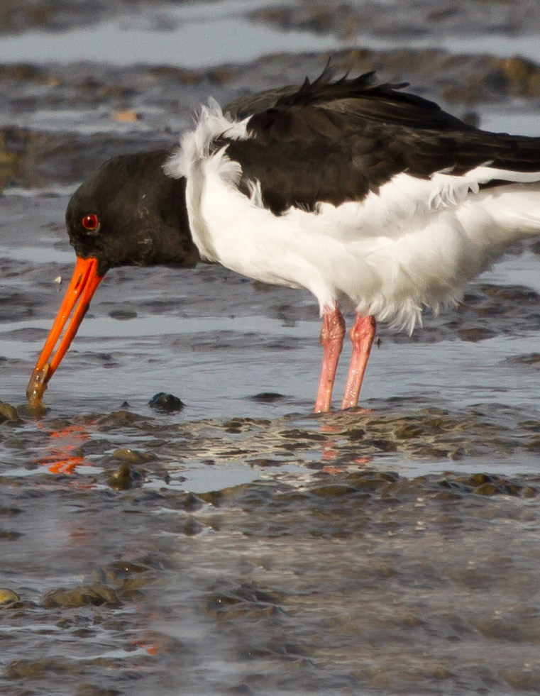 tanger@natuurlijkezaken.