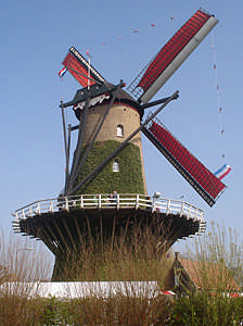 De molen is sedert 1942 buiten werking, waarbij de wieken zijn verwijderd, maar de romp nog intact is gebleven. d. Schuddebeursche watermolen Dit molenrestant bevindt zich in het buitengebied, ten noordwesten van de kern van Lage Zwaluwe.