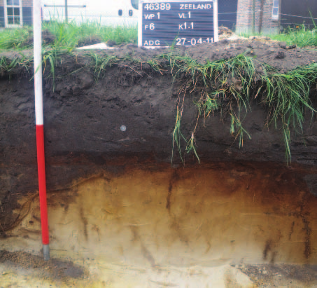 IVO-P, Voor Oventje 46 in Zeeland B&G rapport 1228 4. Resultaten van het onderzoek 4.1. Bodemopbouw De natuurlijke bodem bestond conform de verwachting uit een podzolbodem (Fig. 2).