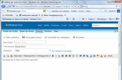 Hoofdstuk 8 Windows Live Spaces 139 U moet een titel invullen: