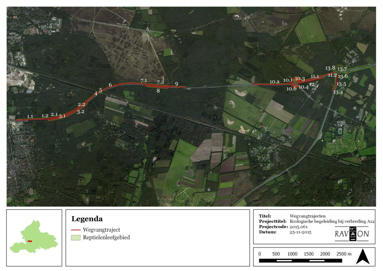 Translocatie reptielen A12 wegvanggebied tegen het scherm op zouden klimmen, zouden dan in het achterland terecht komen, maar dieren uit het achterland komen, door de overstek/flap, niet in het