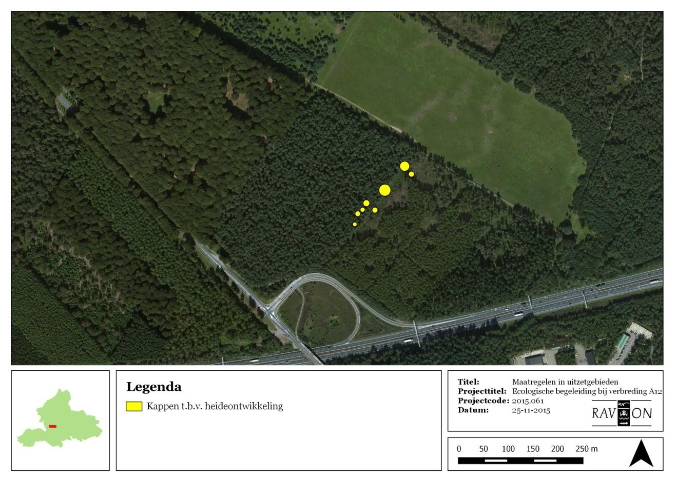 Translocatie reptielen A12 Figuur 15: Uitzetlocatie 4, in het bos van Natuurmonumenten nabij het graslandperceel Dennenkamp met een schematische weergave van de uitgevoerde maatregelen.