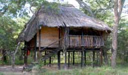 Miombo Safari Camp is gesitueerd net buiten het Hwange National Park, op ongeveer 15 minuten rijden van de entree van Main Camp, op ongeveer 2 uur rijden van Victoria Falls.