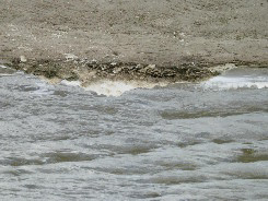 Toelichting strand Oud Valkeveen (403) Naar aanleiding van historische overschrijdingen en constateringen van mogelijke bronnen van verontreiniging bij het strand Oud Valkeveen (trekpleister voor