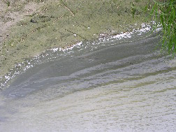 Ter plaatse van het strand en in de omgeving zijn geen andere aanwijsbare bronnen te vinden.