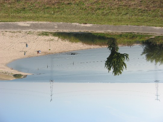 Foto 7: Strand Zwolse hoek (202) Regelmatig worden honden met hun baasjes op het strand gesignaleerd.