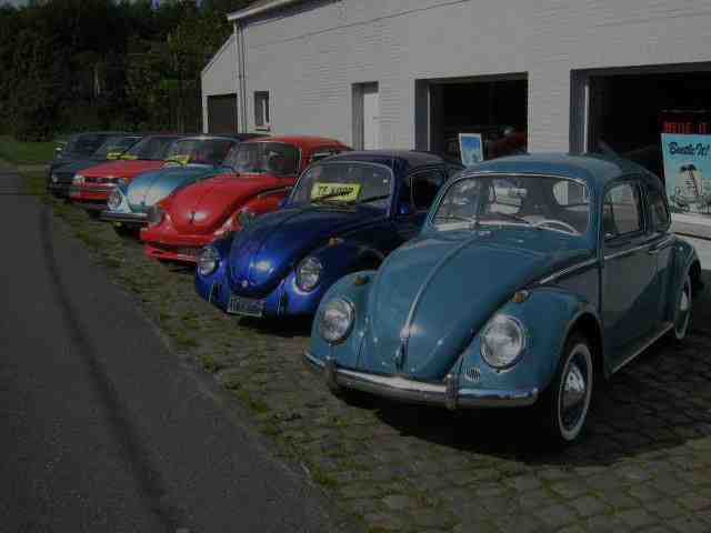 Retouradres: De Kempense Keverclub Herent 233 3910 Neerpelt Driemaandelijks tijdschrift P508829 Afgiftekantoor 9550 Herzele Welkom bij Beetle-It! Zaterdag zijn we doorlopend open van 11 tot 16u.