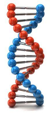 Genetisch Onderzoek Onderzoek naar genetische variaties in Idiopatische longfibrose (IIP) Genetica Erfelijkheid