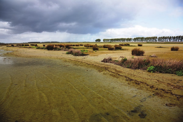 De stroomsnelheden bij een getijslag van 3 centimeter, zullen nauwelijks sediment vanuit de geulen in beweging brengen om erosie te compenseren.