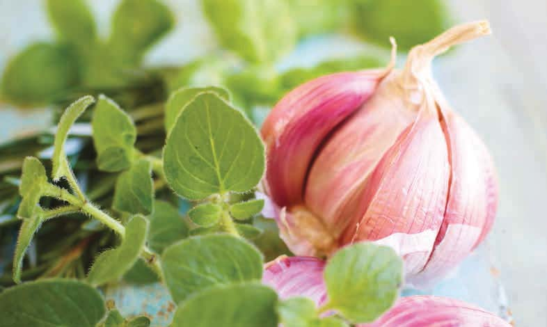 KOKEN: DAMPKAPPEN 27 DE JUISTE KEUZE Voor een goed functionerende dampkap zijn een aantal factoren belangrijk.