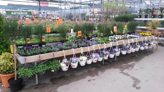 Bauhaus Hornbach toonde opvallend veel mediterrane planten, voornamelijk import assortiment en daarnaast veel kleine potmaten.