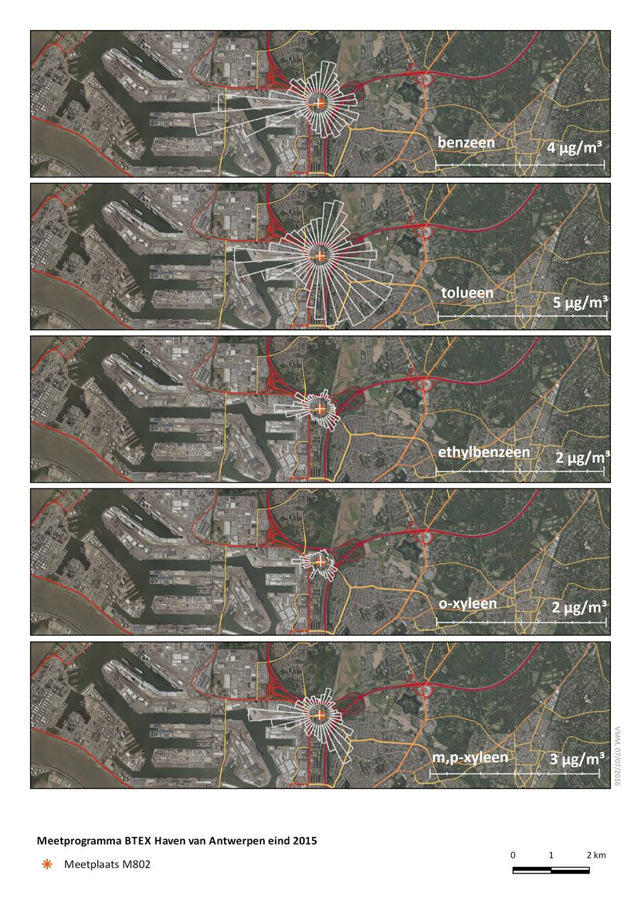Figuur 48: Pollutierozen BTEX-gemiddelden op de meetplaats Luchtbal (M802) in 2015