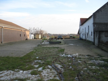 In het grasland aan de zuidzijde van hoeve De Ploeg staan nog enkele oudere hoogstamfruitbomen (zie