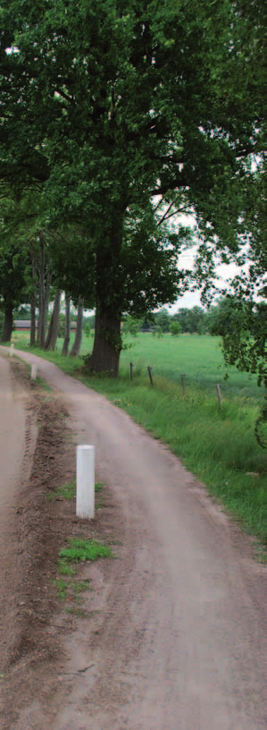 Product Uitgelicht granietgruis Marktleider op het gebied van granietgruis toepassingen! Vaarkamp B.V. kan marktleider genoemd worden wat betreft het toepassen van granietgruis als halfverharding.