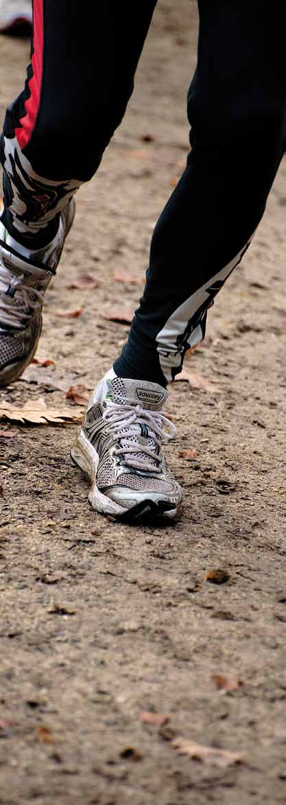 Joggers op het juiste pad Steeds meer mensen binden de loopschoenen aan om een eindje te joggen. Gewoon langs de straat of misschien het bos of de velden in.