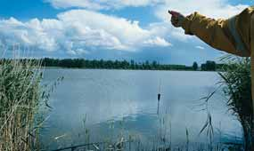 In de praktijk is gebleken dat het wel of niet optreden van temperatuurstratificatie verband houdt met de verhouding diepte-oppervlakte van het viswater.