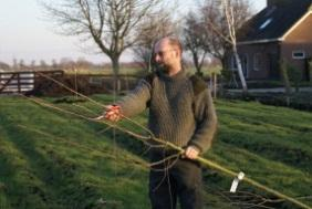 bui-tegewoon, groenprojecten is een klein