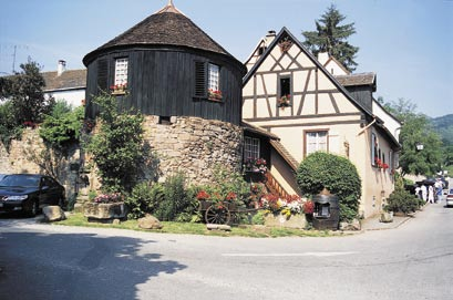 Bodegas Terramaior is hier inmiddels uitgegroeid tot een icoon, maar brengt tegelijkertijd een van de meest betaalbare wijnen uit de streek voort!