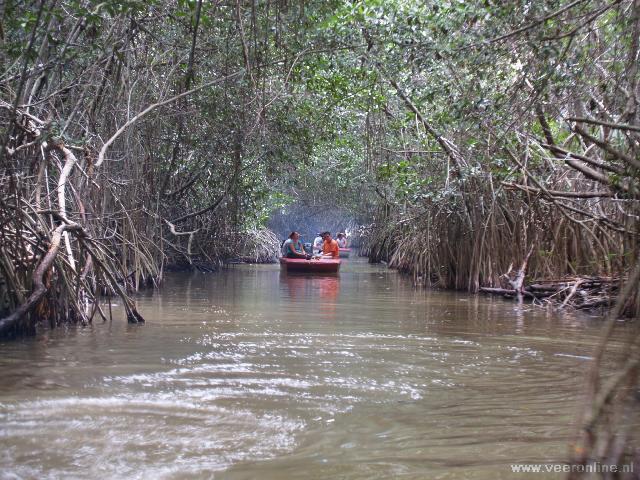 Met een boot tussen de mangrovebossen door Zaterdag 21 mei 2005 Naar het paradijs De bustocht naar Caya Coco staat op het programma. Het eerste van de twee standresorts aan de kust.