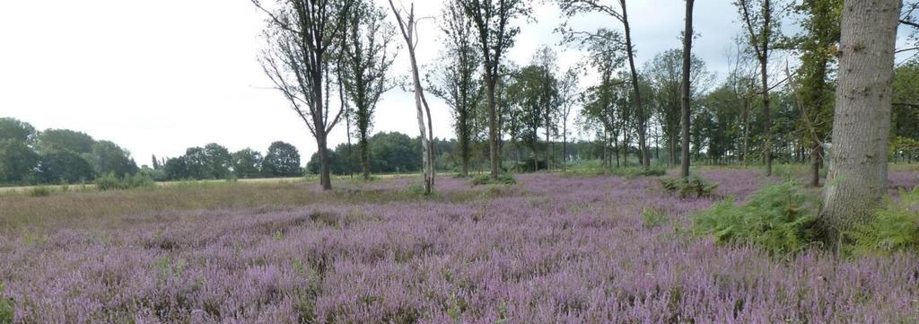 AALTER-BRUG NAJAARSWANDELING met KVLV Op zondag 25 september verzamelen we om 15.00 uur op de parking tussen de Drongengoedhoeve en het Jagershof. De gids, dhr.