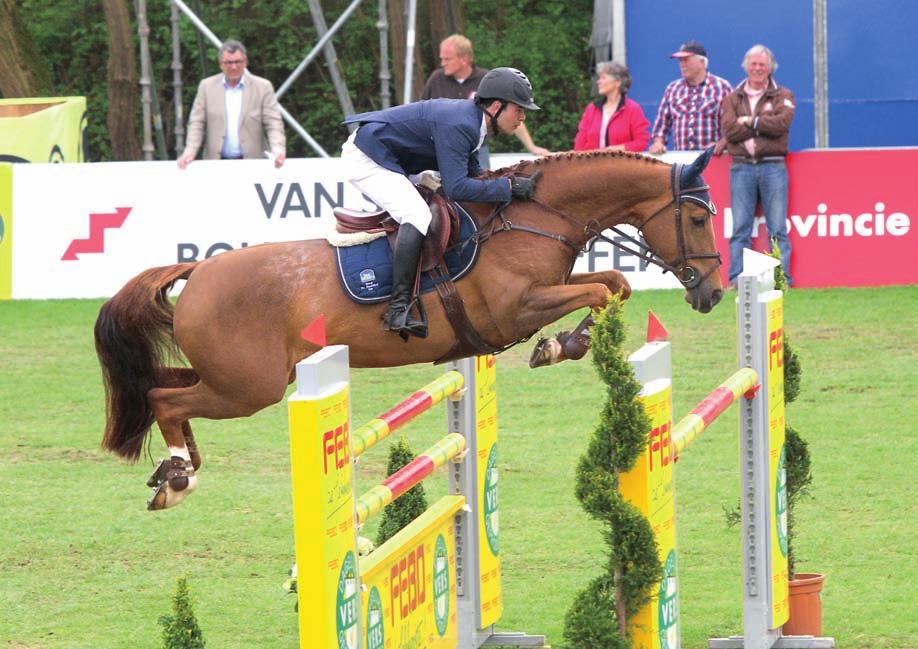 Alexander Vincentius heeft al diverse mooie prestaties geleverd met de zelfgefokte San Remo-dochter Zadarijke. In Mierlo sprong het duo overtuigend naar de zilveren medaille bij de Junioren.