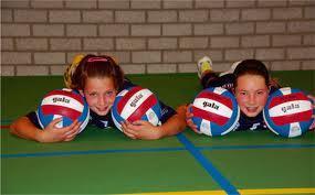 Antwerpse Volleybalfederatie vzw provinciale