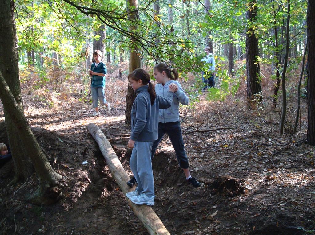 Daarom besteden we veel aandacht aan speelnatuur op scholen, openbare speelterreinen en in natuurgebieden.