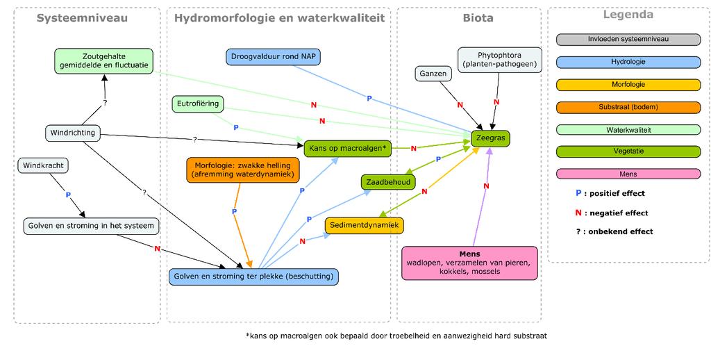 6 Zeegras Auteur: Marieke van Katwijk 9 feb 2016 Met tekstuele bijdragen Dick de Jong 6.1 Inleiding De maatregel bestaat uit het terugbrengen van zeegras in het systeem.