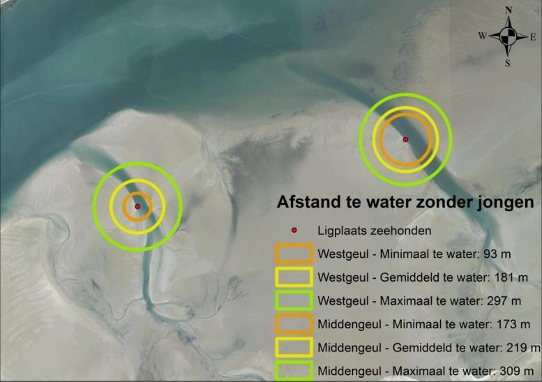 Figuur 5.4: De gemiddelde, maximale en minimale afstand waarop de eerste zeehonden te water gaan aan de West- en de Middengeul. Figuur 5.