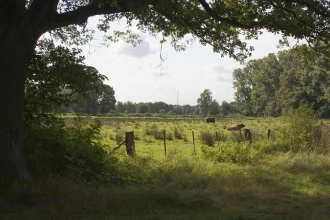 Aanbod: welke natuurgebieden zoekt geel?