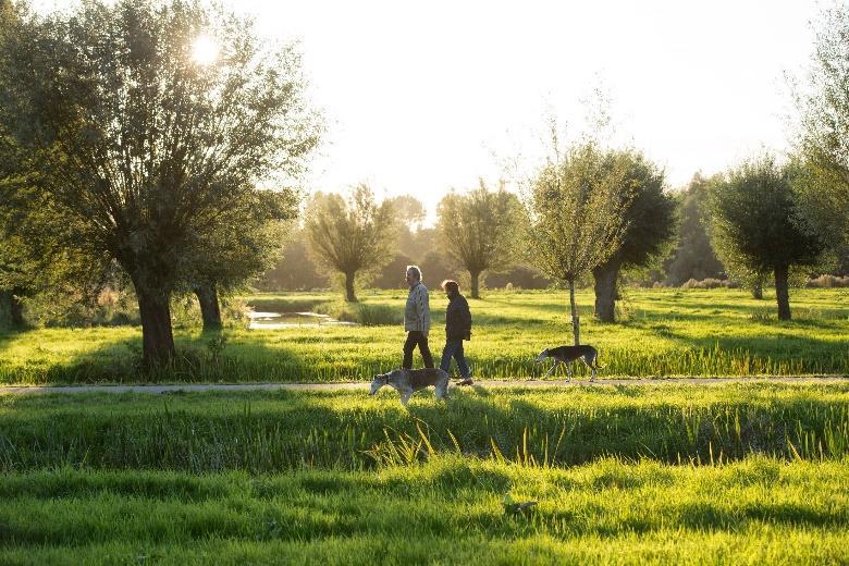 Motieven om te wandelen en fietsen in de natuur alleen zijn,