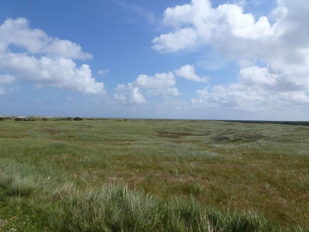 Duinboog Hollum Ballum Uit het voorgaande verhaal ontstaat het beeld waarin de basis van het eiland Ameland wordt gevormd door drie oude duincomplexen (duinbogen): 1- de westelijke duinboog van