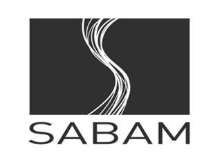 Brussel 3 juin 2016 (Sabam) Een ISP die enkel toegang verschaft vervult een loutere technische prestatie en verricht niet zelf een mededeling aan het publiek Sabam kan geen vergoeding uit dien hoofde