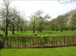 Landschapspakket L10: Hoogstamfruitboomgaard Wat is een hoogstamfruitboomgaard.