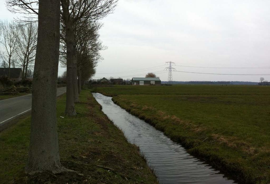 Voor de rest blijft de noordgrens van het bouwblok onbeplant: hierdoor blijven de sleufsilo s voor ruwvoer en de nieuwe ligboxenstal goed bereikbaar.