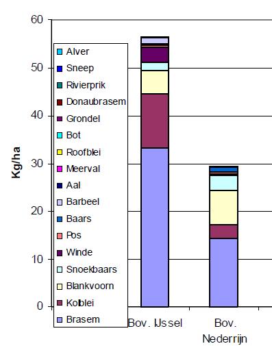 - Visplan Neder Rijn Plus, oktober 2012 - baars op de Neder Rijn weer beter vertegenwoordigd is (10% en 3% tegen 4% en 1%).