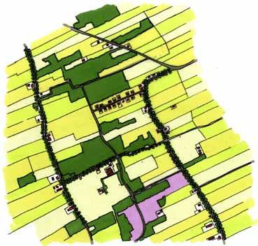 De grootte van de erven varieert, maar de meeste erven zijn royaal van omvang en hebben een rechthoekige tot langgerekte opzet. Op veel erven zijn stallen tot op het voorerf gebouwd.