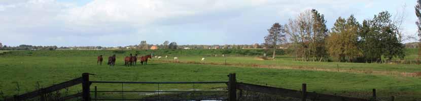 Opstrekkende verkaveling haaks op de beek Verspreid liggende bebouwing Rechte wegen Erven In de beekdalen liggen de erven verspreid aan meestal rechtlijnige ontsluitingswegen.