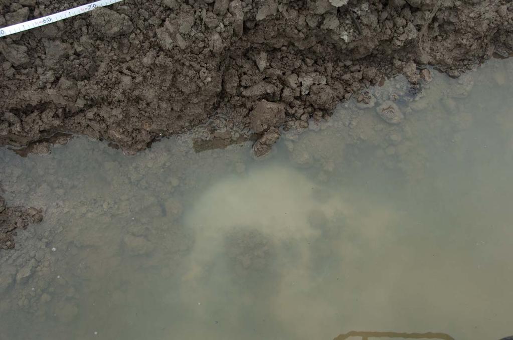 2.8: Schoon water spuit achter de dijk boven het maaiveld uit. Opvallend is dat dit vlak voor een sloot optreedt.